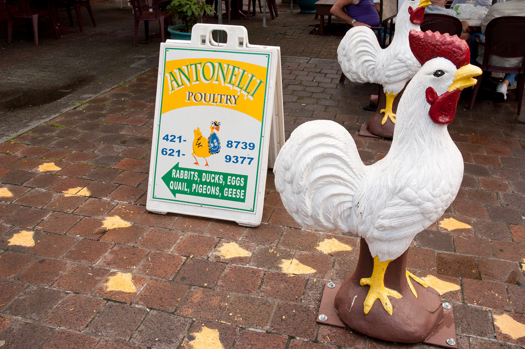 Antonelli Poultry, one of the daytime businesses that hearkens back to the old days of Providence's Little Italy