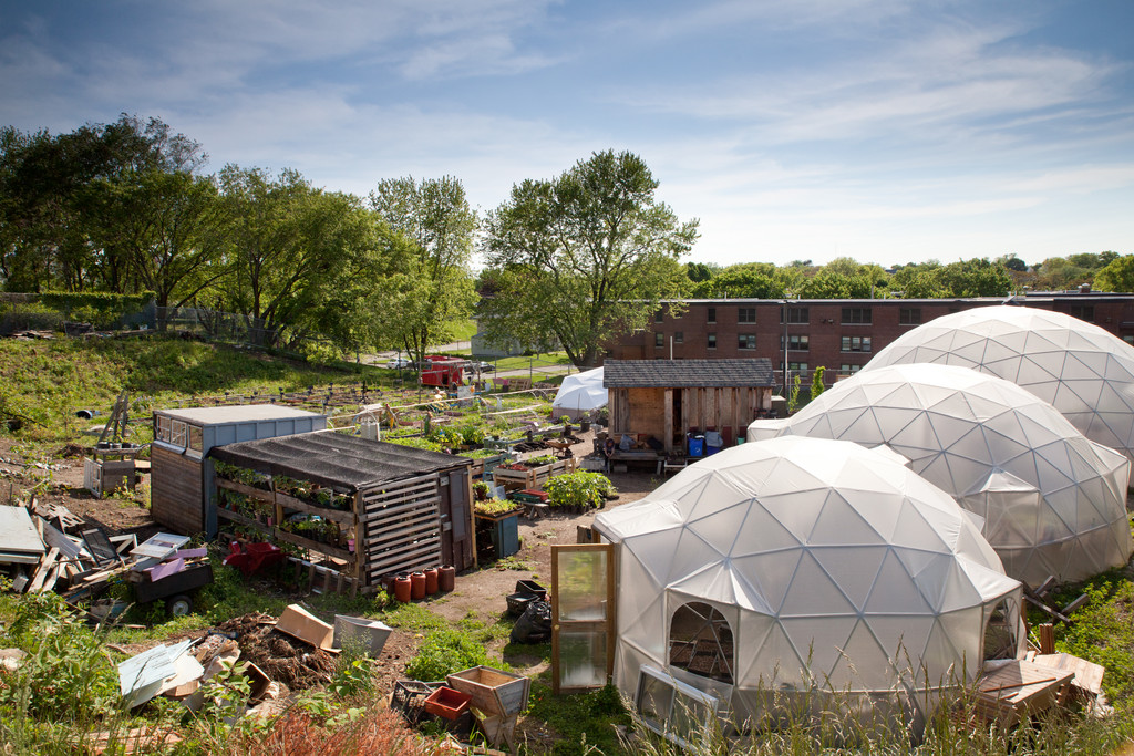 Approximately 10,000 seedlings are growing within the farm's geodesic domes