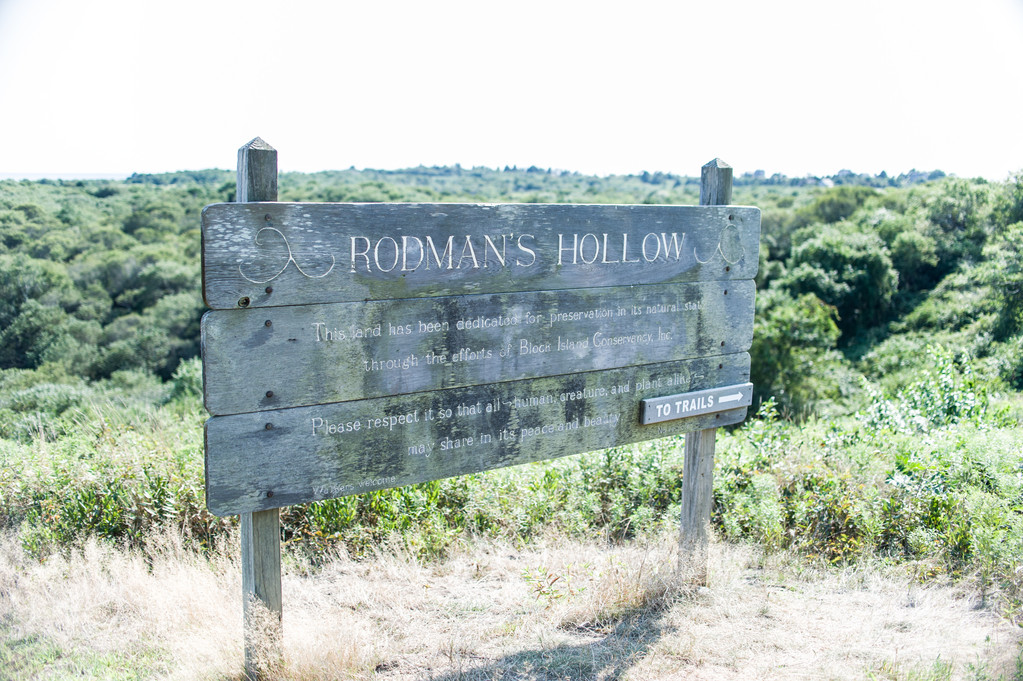 Rodman’s Hollow is part of the island’s tradition of land conservation