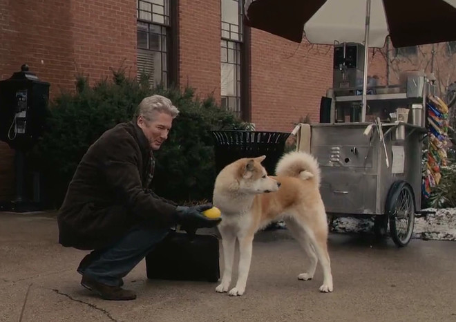 Hachiko: A Dog’s Story

In this 2009 film, a college professor (Richard Gere) takes home an abandoned dog, and the bond of love between the two is undying.  The movie was filmed in Woonsocket, Providence, Kingston, and Bristol.