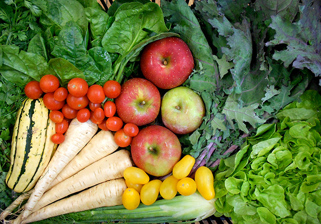 Farm Fresh RI's Veggie Boxes bring the farmers' market to you