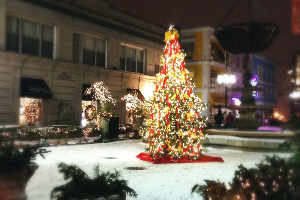 Federal Hill gets extra festive during the holidays