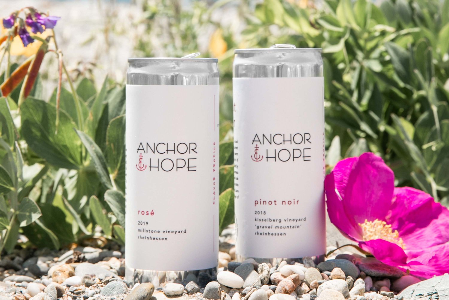 Anchor & Hope wines come by the bottle or can