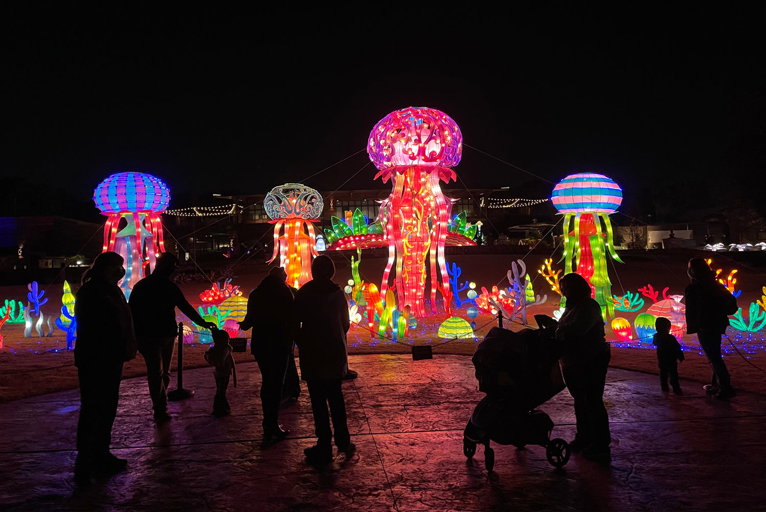 The Asian Lantern Spectacular is lit Wednesday – Sunday evenings from 6-10:30pm, Last admission is at 9:30pm