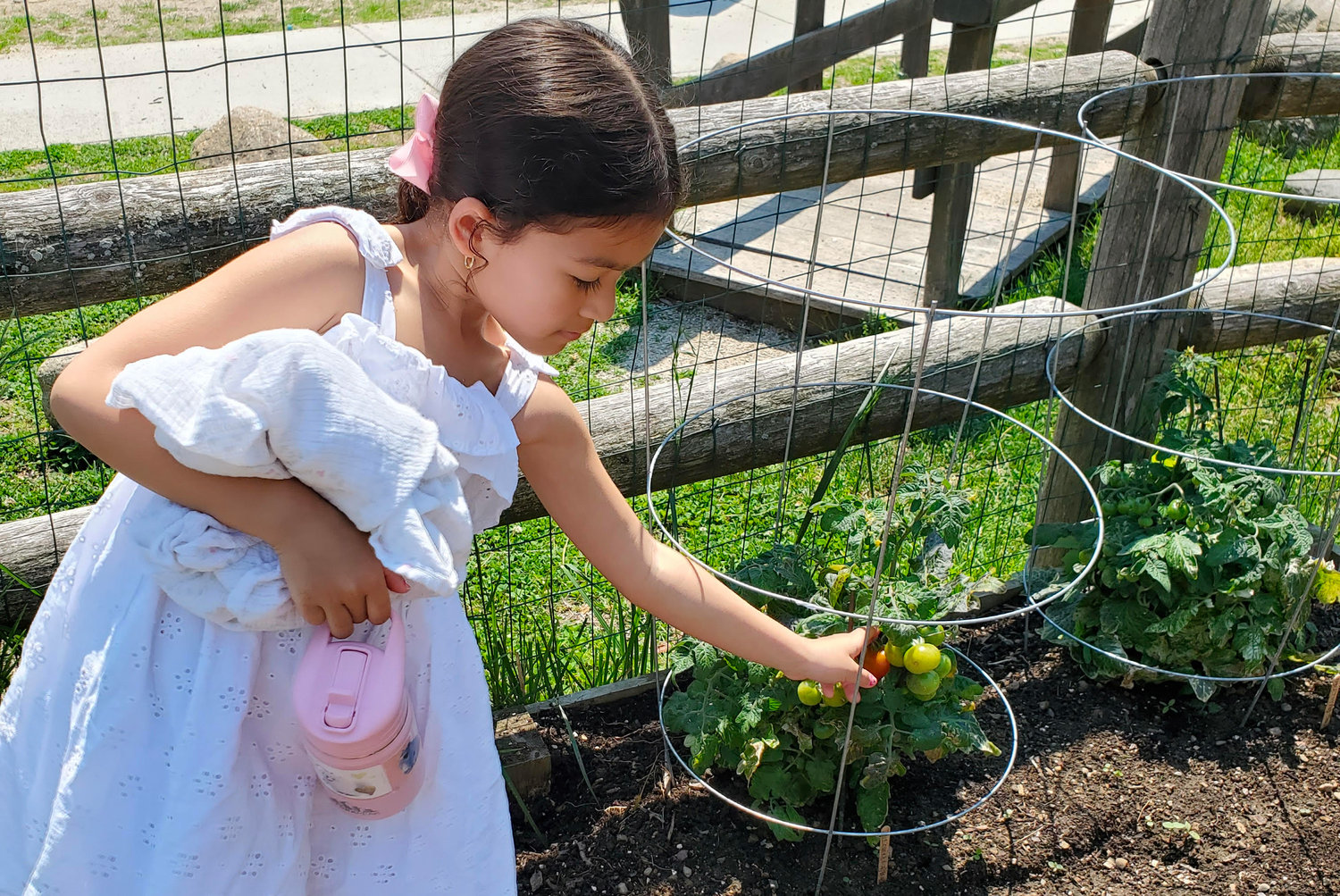 Lyana Rivera helps her mom Ana Acevedo in the Summit Community Garden