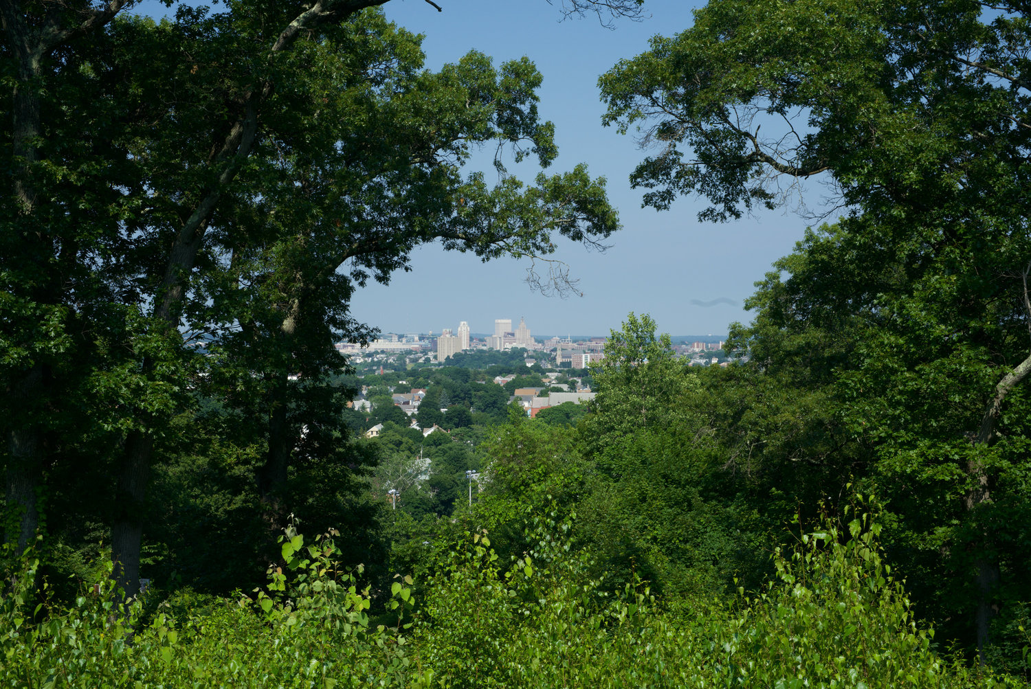 A view of the city from Neutaconkanut Hill Park