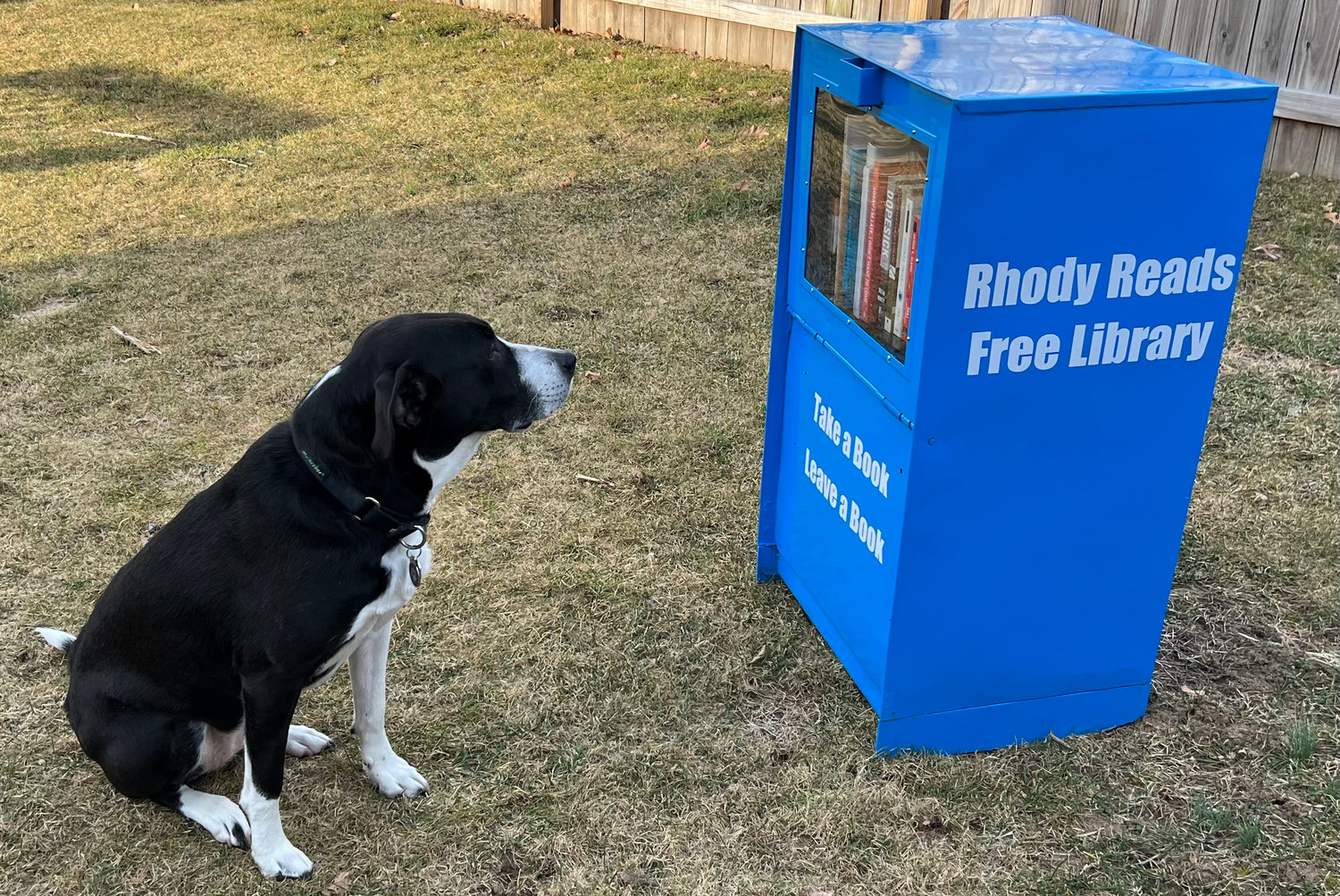 A refurbished newspaper box was gifted to Hugh Minor who fills it with Rhody Reads