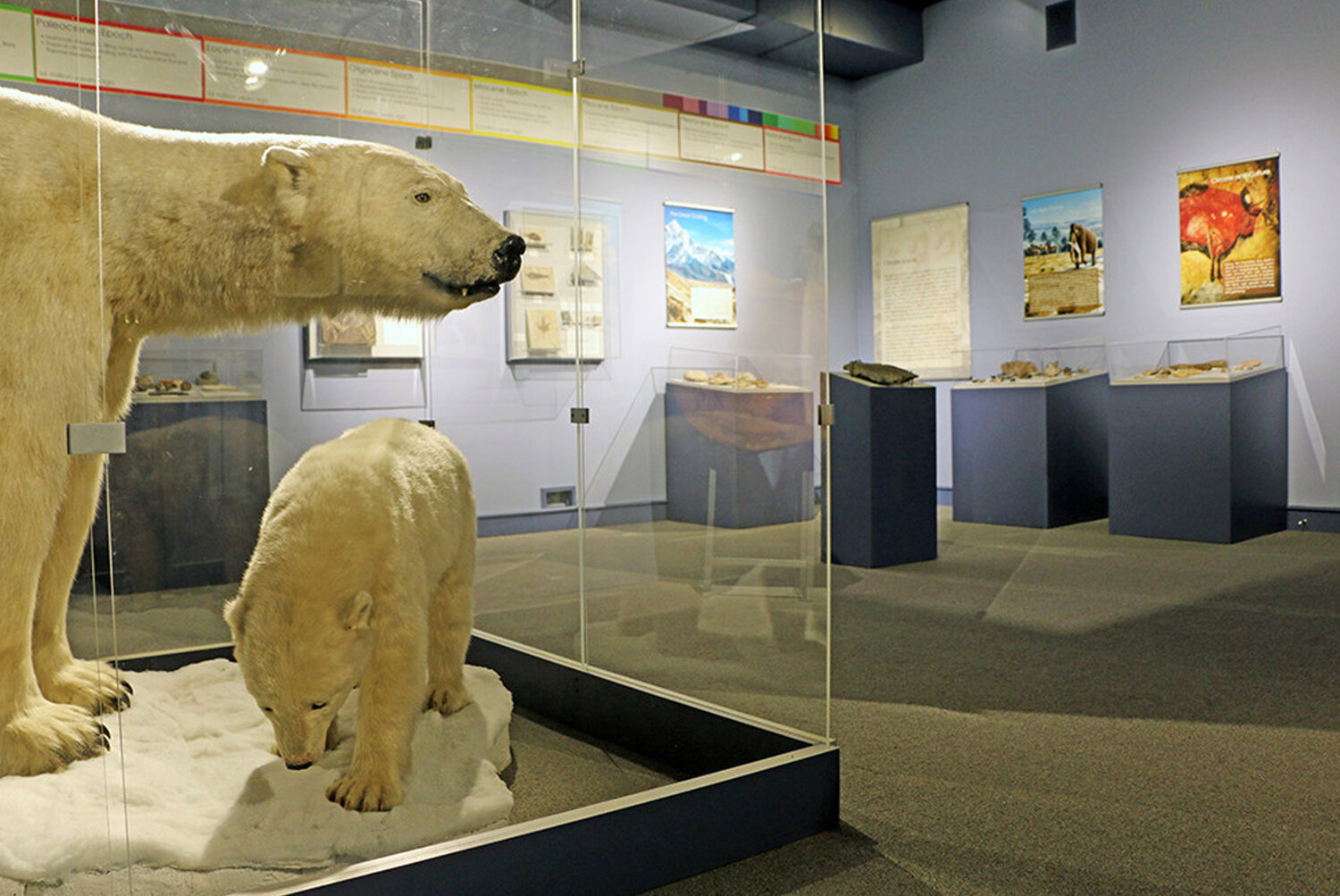 Don’t miss the new Circle of the Sea: Re-Visited and Re-Imagined exhibit